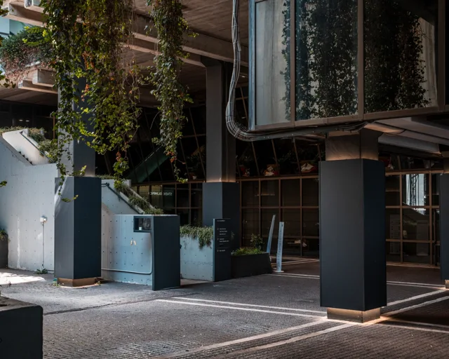 Architettura e vegetazione